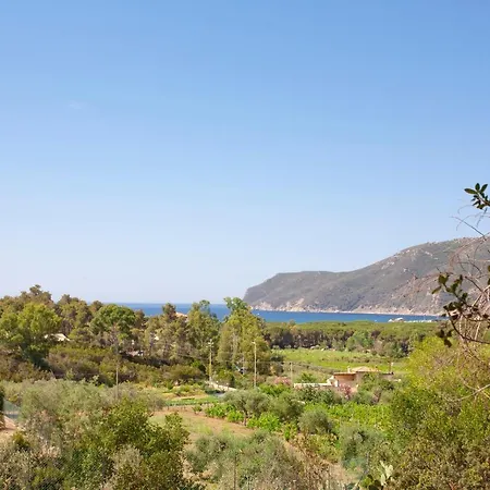 Appartamento Casa L'antica Oliveta *