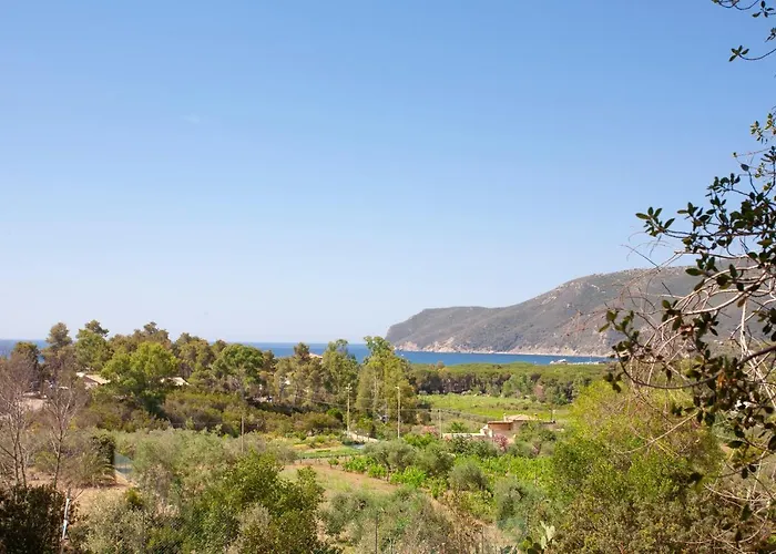 Lägenhet Casa L'antica Oliveta *